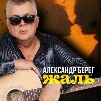 Постер песни Александр Берег - Жаль