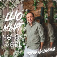 Постер песни Фарид Низамиев - Шомырт чэчэклэре