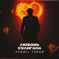 Постер песни Zhamil Turan - Любовь хулигана