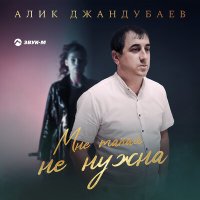 Постер песни Алик Джандубаев - Мне такая не нужна