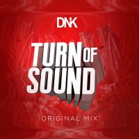 Постер песни DnK - Turn Of Sound