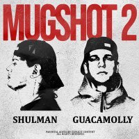 Постер песни Shulman, GUACAMOLLY - 3 Gramms