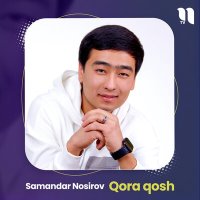Постер песни Samandar Nosirov - Qora qosh