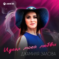 Постер песни Джамиля Залова - Идеал моей любви