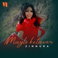 Постер песни Zinnura - Mayli ketaver