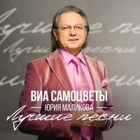 Постер песни ВИА Самоцветы Юрия Маликова - Команда молодости нашей