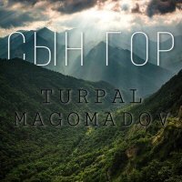 Постер песни Turpal Magomadov - Сын гор