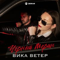 Постер песни Вика Ветер - Черный мерин