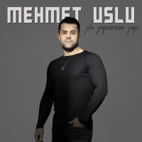 Постер песни Mehmet Uslu - Ne Yaparsan Yap