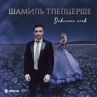 Постер песни Шамиль Тлепцерше - Довольно слов