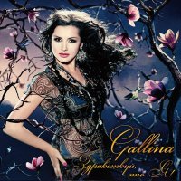 Постер песни Gallina - Самая-самая