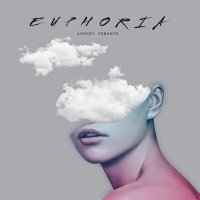 Постер песни Andery Toronto - Euphoria