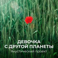 Постер песни Акустический проект - Осколки