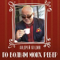 Постер песни Андрей Кудин - Не плачьте, ангелы мои