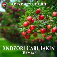 Постер песни Артур Арутюнян - Хndzori Сari Takin (Remix)