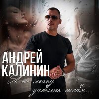 Постер песни Андрей Калинин - Я не могу забыть тебя