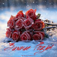 Постер песни Миролюбова - Зимние розы