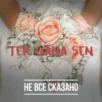 Постер песни Не Всё Сказано - TEK QANA SEN