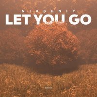 Постер песни Nikgeniy - Let You Go