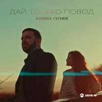 Постер песни Алибек Гегиев - Дай только повод