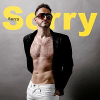 Постер песни ED KARMA - Sorry,