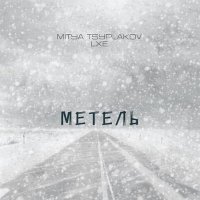 Постер песни Mitya Tsyplakov, LXE - Метель