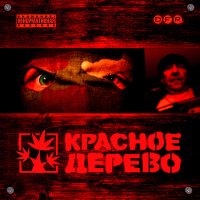 Постер песни Костет - Камерная