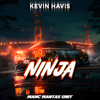 Постер песни KEVIN HAVIS - Ninja