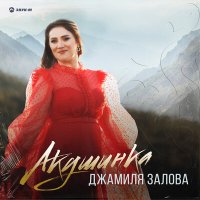 Постер песни Джамиля Залова - Акушинка