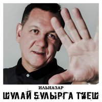 Постер песни Ильназар - Шулай булырга тиеш