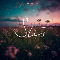 Постер песни TRITICUM - Stars