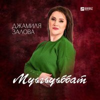 Постер песни Джамиля Залова - Муьгьуьббат