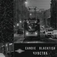 Постер песни CanDie, Blackfish - Чувства