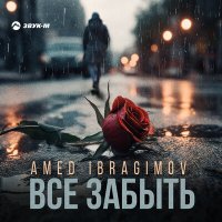 Постер песни Amed Ibragimov - Все забыть