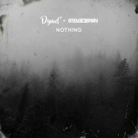 Постер песни DYMD, Steve Brian - Nothing