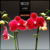 Постер песни Alisher - Awakening (Original Mix)