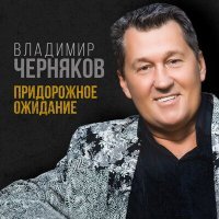 Постер песни Владимир Черняков - Придорожное ожидание