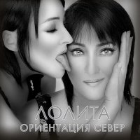Постер песни Лолита - Ориентация север (Ремикс)