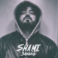 Постер песни SHAMI - Заново