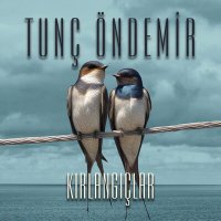 Постер песни Tunç Öndemir - Kırlangıçlar