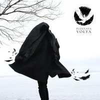 Постер песни Plennaya Volya - Птица