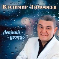 Постер песни Владимир Тимофеев - Летний дождь