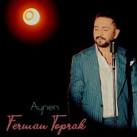 Постер песни Ferman Toprak - Aynen