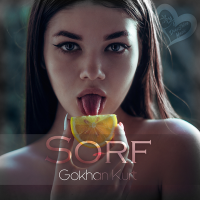 Постер песни Gokhan Kurt - Sorf