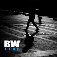 Постер песни BW - Тень