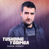 Постер песни Suxrob Norimov - Tushding yodimga