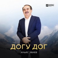 Постер песни Ильяс Эбиев - Догу дог