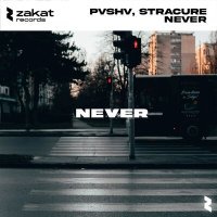 Постер песни PVSHV, STRACURE - Never