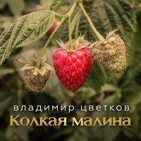 Постер песни Владимир Цветков - Пятница