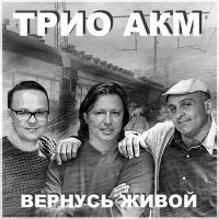 Постер песни Трио АКМ - Вернусь живой